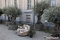 VBS_2368 - FloReal 2021 alla Palazzina di Caccia di Stupinigi